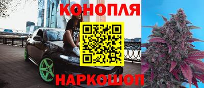 ешки Можга