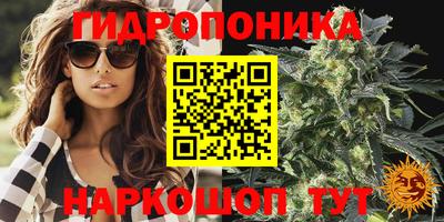 стаф Можайск