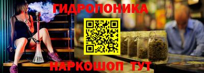 PSILOCYBIN Моздок