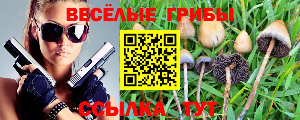 Псилоцибиновые грибы Magic Shrooms Югорск